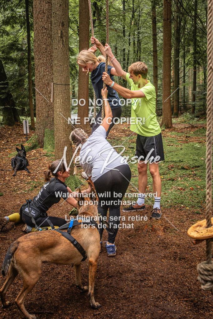 nelerasche_So0930-1030_54 | nelerasche