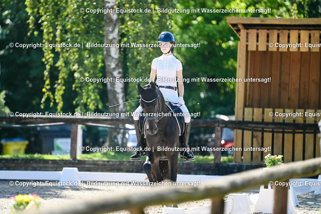 20230908_06_Dressur-L-Trense_0616 | equistock