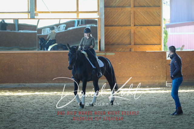 DKP42411 | Turniersportfotografie; Pferdefotografie; Dressurfotografie