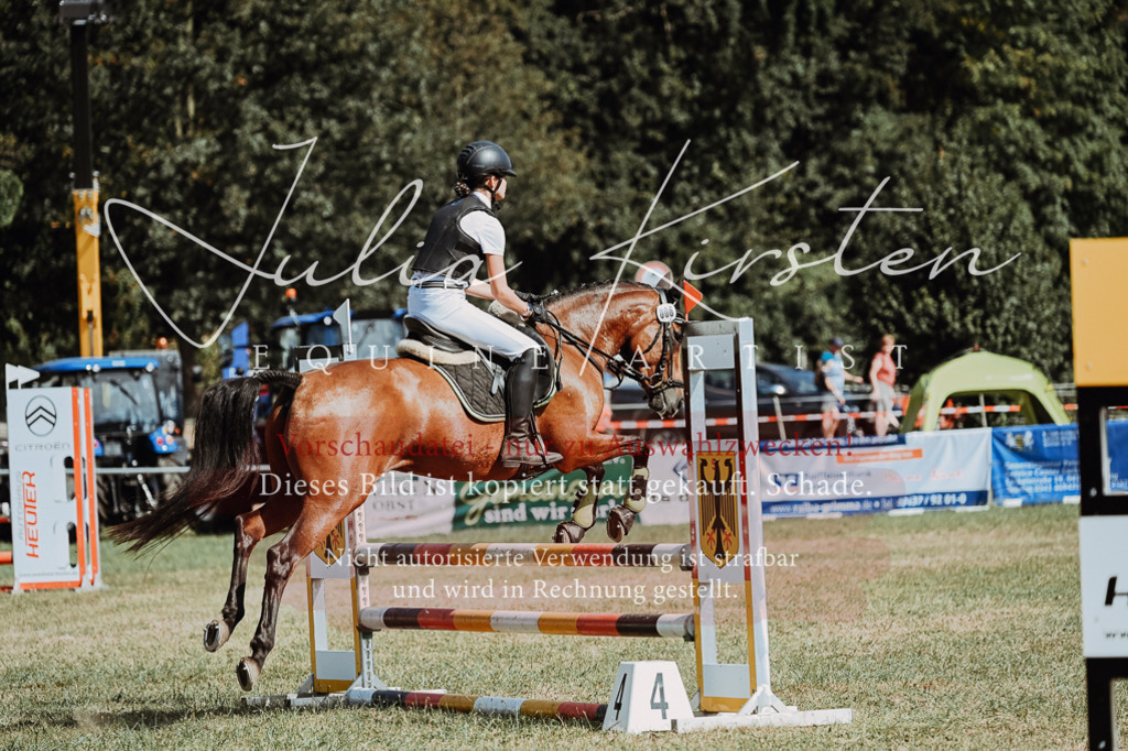 DSC_9416 | Pferde- und Turnierfotografie in Westsachsen. Pferdeportraits, Auftragszeichnungen und intuitive Kunst.