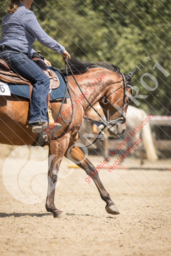 IMG_9722 | Sport-, Event- und Tierfotos in Profiqualität. Einfach auswählen, bestellen und herunterladen. Dein Moment – perfekt festgehalten.