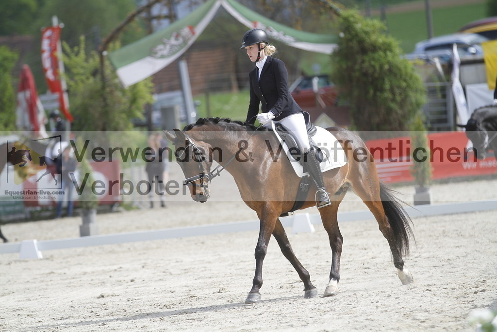 _MG_8290 | equestrian-live-com