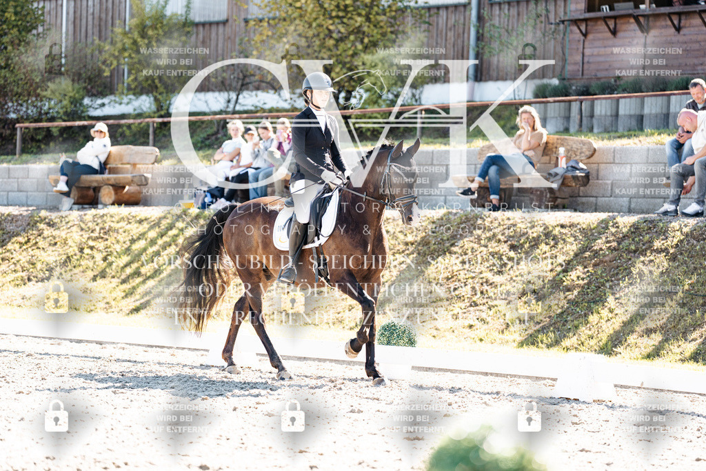 CK909095 | Turnierfotografie Pferdefotografie Trier Rheinland-Pfalz Pferdesport Reitsport Tierfotografie Sportfotografie Pferdevideo Pferdevideografie Equestrianvideography equestrianphotography  - Realisiert mit Pictrs.com