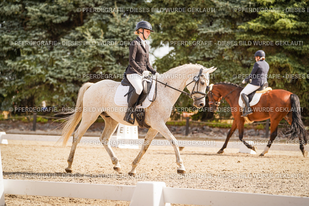 DSC01222 | Pferdegrafie