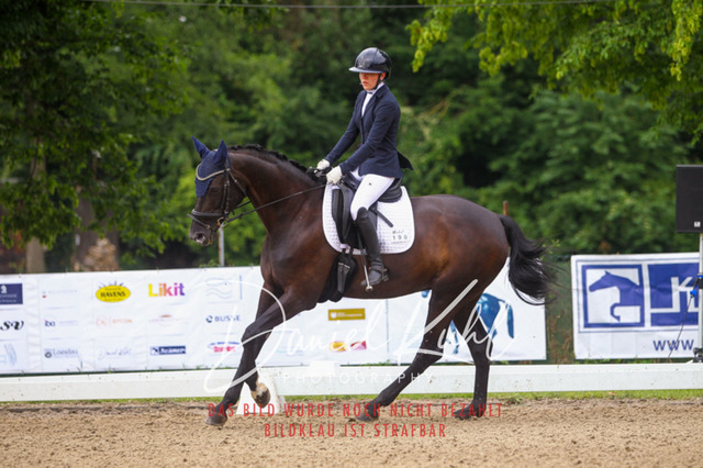 DKP41766 | Turniersportfotografie; Pferdefotografie; Dressurfotografie