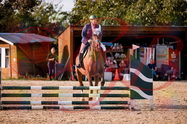 2026_10_03_Siefer-Hof_160637_Z81_88312897 | Professionelle Reitsport-, Turnier- und Eventfotografie von Robert Broda. Galerien mit ausgewählten und bearbeiteten Bildern direkt online ansehen und bestellen.