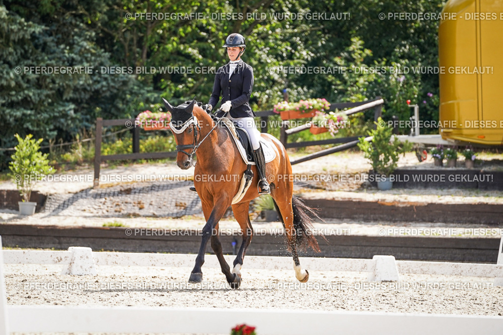 DSC09041 | Pferdegrafie