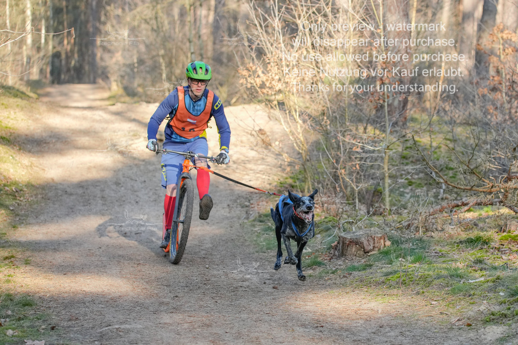 Sa_Scooter-90 | stephaniefillaphotographie - Realisiert mit Pictrs.com