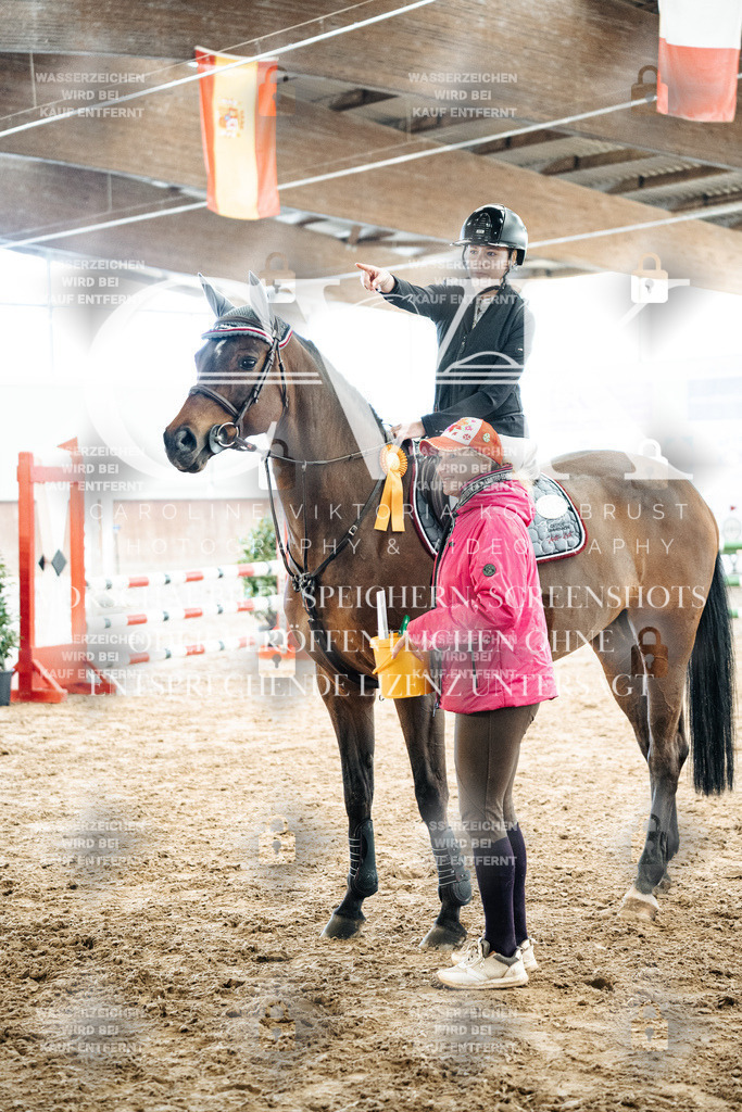 CK702881 | Turnierfotografie Pferdefotografie Trier Rheinland-Pfalz Pferdesport Reitsport Tierfotografie Sportfotografie Pferdevideo Pferdevideografie Equestrianvideography equestrianphotography  - Realized with Pictrs.com