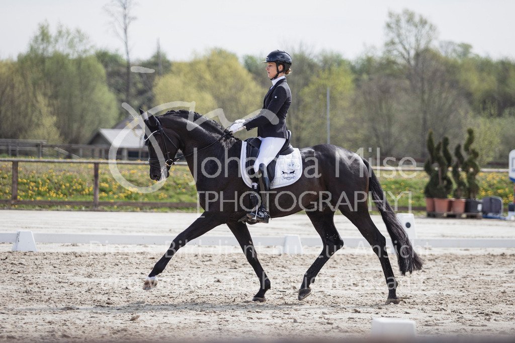 250416_Dressurpferde-L-220 | Deine schönsten Turniermomente als professionelle Fotos! Entdecke hochwertige Pferdesport-Fotografie im Online-Shop. Jetzt Fotos finden & bestellen!