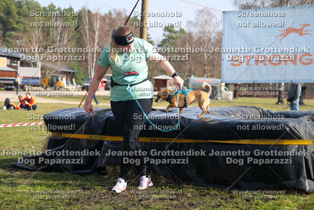 Dog Paparazzi - Strongdog North Mrz26-1559 | Dog Paparazzi Jeanette Grottendiek Fotografie & Videografie - Realisiert mit Pictrs.com