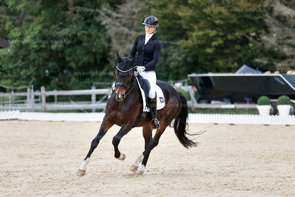 3-104-Dressur M_-StoibPH-2467 | working equitationturnier fotograf videograf stoibphotography marixx film working equitation deutschland reitsport turnierfotografie eventfotografie equestrian events