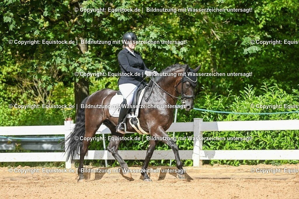 20230716_01_Dressurprüfung Kl.M_0568 | equistock
