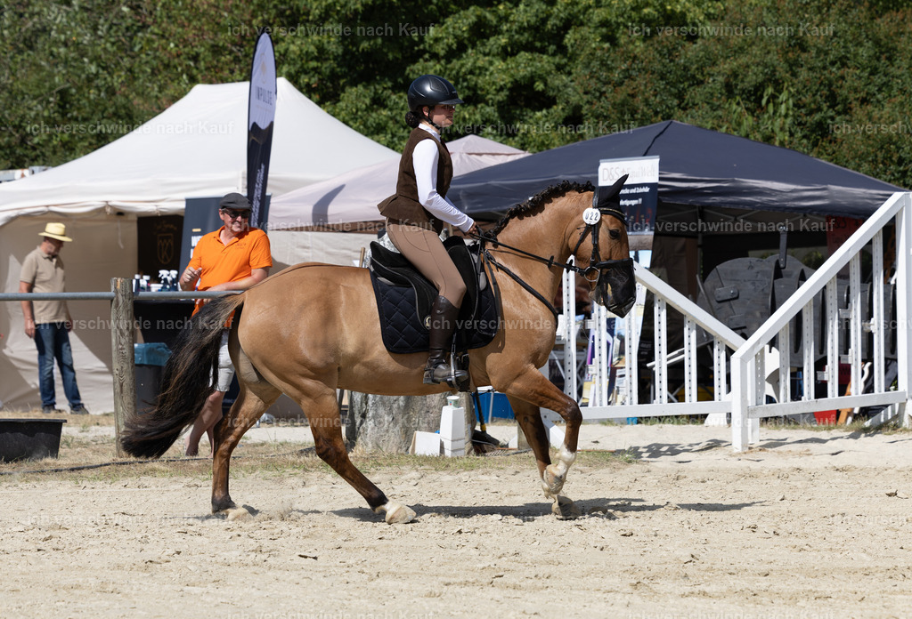 WA_Trail_22_KerstinBernhardt | working equitationturnier fotograf videograf stoibphotography marixx film working equitation deutschland reitsport turnierfotografie eventfotografie equestrian events
