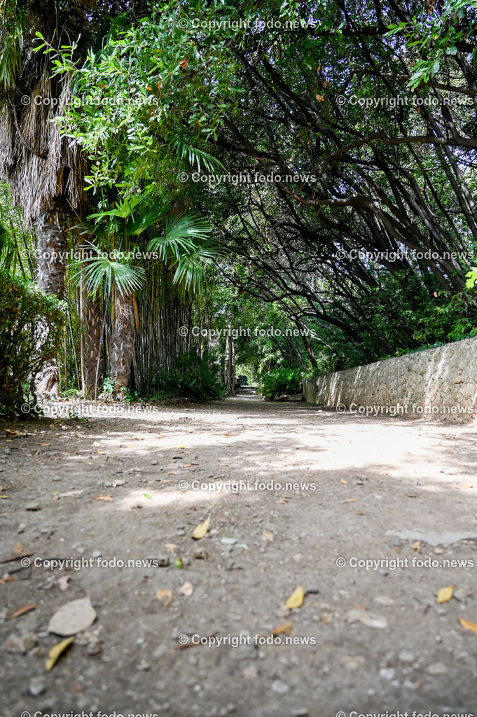 Arboretum von Trsteno_ Kroatien_ 11.10.2023-93 | 11.10.2023, Kroatien, HRV, Trsteno im Bild Arboretum, Trsteno, Hafen, Pflanzen, Brunnen, Neptunbrunnen, Wege, Palmen, Eukalyptus, Lorbeer, Kakteen, Zitrus, Oliven, Filmkulisse Game of Thrones

Das Arboretum von Trsteno befindet sich etwa 18 Kilometer nordwestlich der Stadt Dubrovnik im Sueden Kroatiens. Als einziges Arboretum an der oestlichen Adria-Kueste stellt es die aelteste Sammlung exotischer Baeume und Pflanzen des Landes dar.
Die Gartenanlage befindet sich entlang der Kuestenstraße zwischen den Ortschaften Orašac und Slano.
Quelle: Wikipedia
