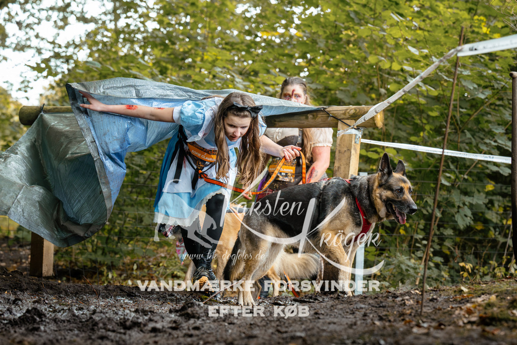 1431DZ6_2645Z6 | kk-dogfotos