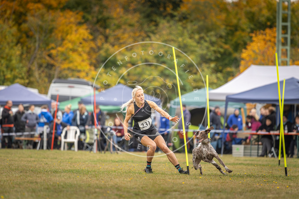 Pfotenfotografie_DV3A4185 | Hundefotografie, Tierfotograf, Pfotenfotografie, Fotoshooting Hund, Hunde Portrait, Hundesport, Hundeportraits, Heideshooting, Hunde, Sportfotograf, Hundefotograf, Turnierhundsport, THS,  - Realisiert mit Pictrs.com