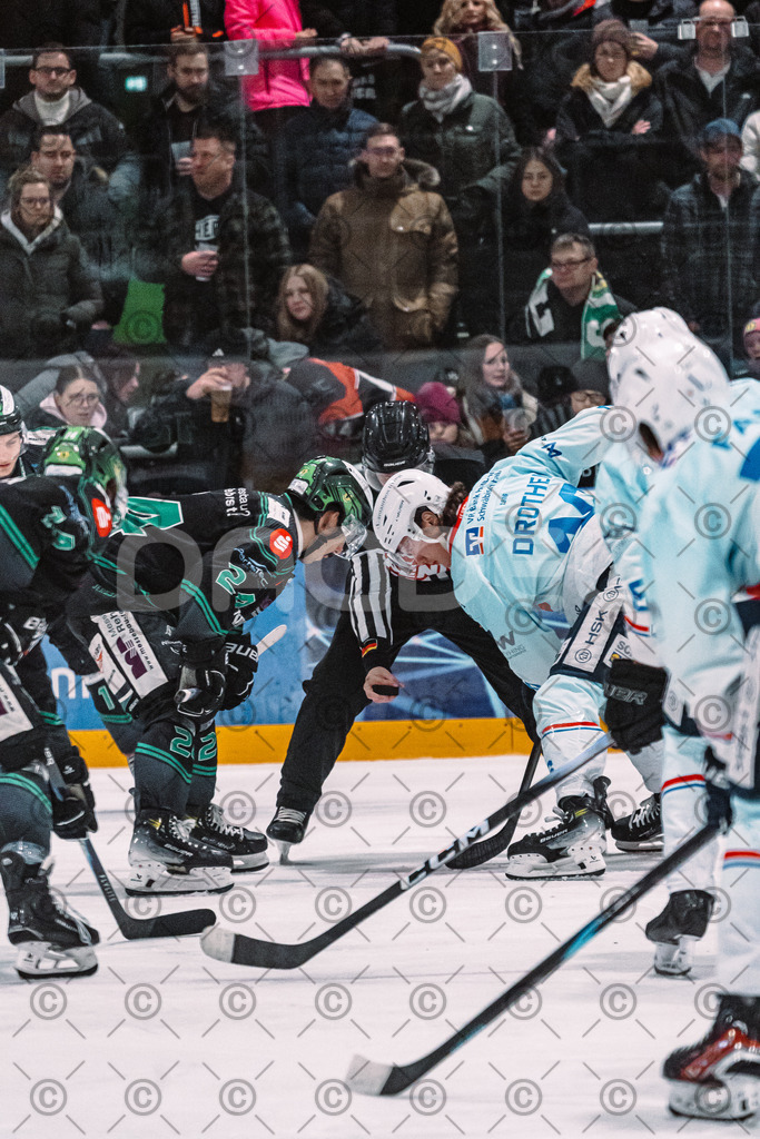 Alligators_vs_Heilbronn_08_02_2026-40 | Höchstadt Alligators Fotogalerie: Eishockey-Action aus Franken. Professionelle Spielfotos, Portraits & Stadionbilder zum Download. Jetzt entdecken! - Realisiert mit Pictrs.com
