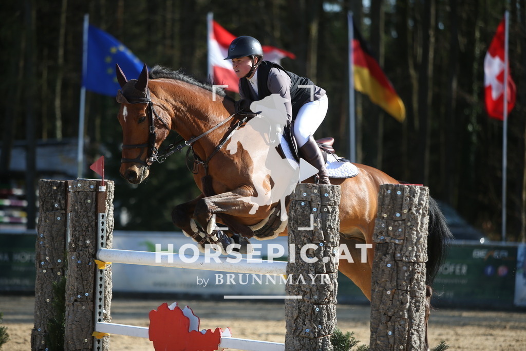 PP015741 | Willkommen bei Brunnmayr - Design & Fotografie – Ihrem Spezialisten für Reitturniere und Pferdeveranstaltungen in Oberösterreich, Salzburg und Bayern! Seit über 17 Jahren sind wir leidenschaftlich dabei.