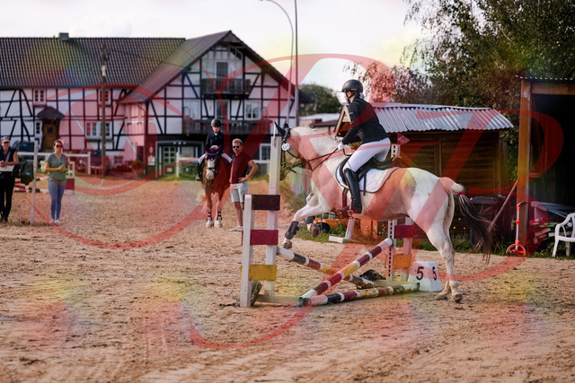 2026_10_03_Siefer-Hof_144303_Z81_16483725 | Professionelle Reitsport-, Turnier- und Eventfotografie von Robert Broda. Galerien mit ausgewählten und bearbeiteten Bildern direkt online ansehen und bestellen.