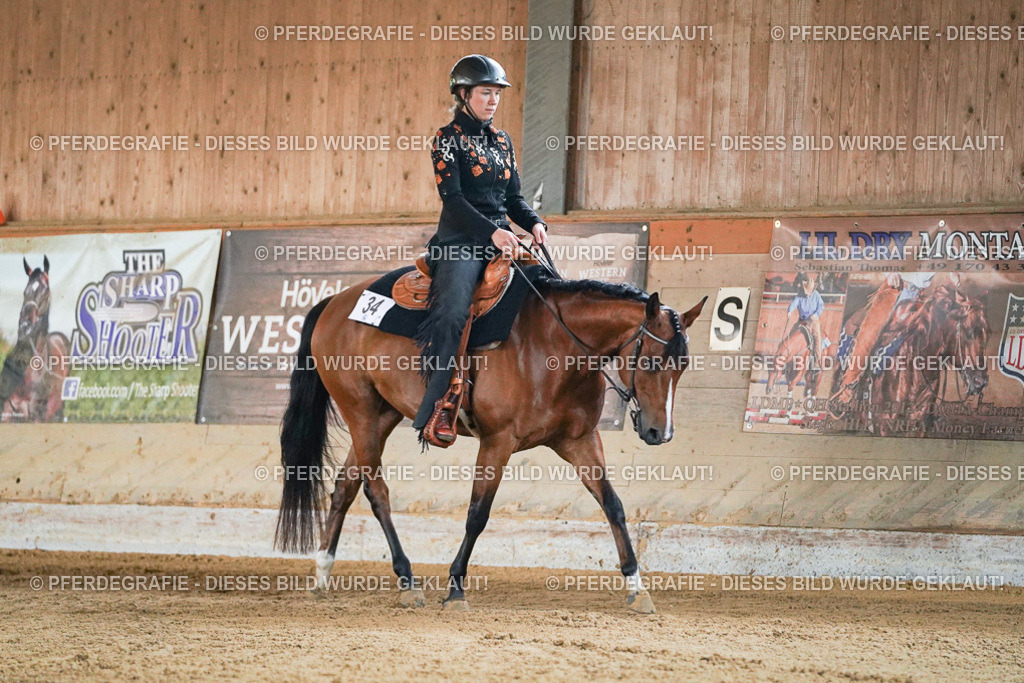 DSC05431 | Pferdegrafie