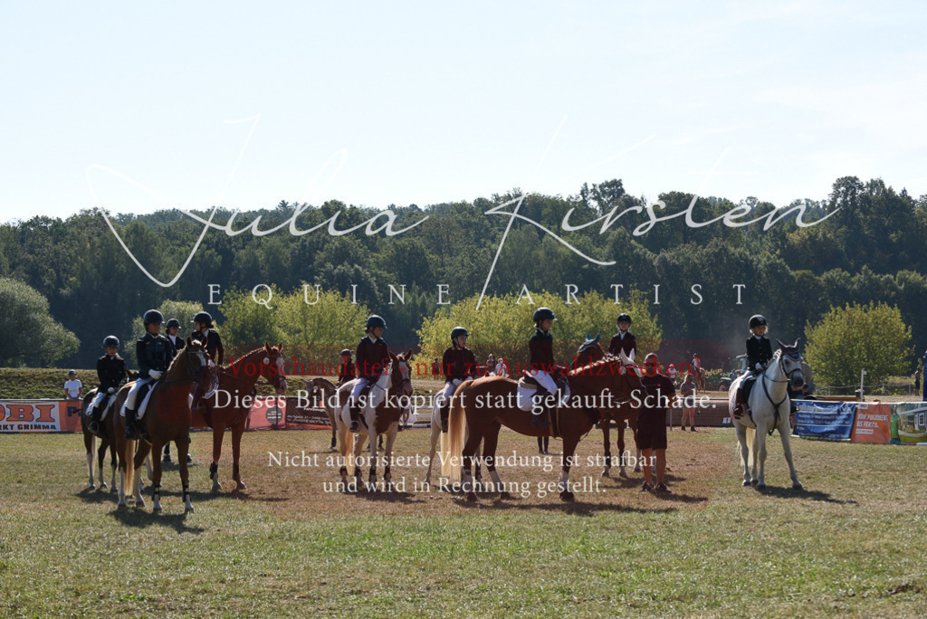 DSC_6141 | Pferde- und Turnierfotografie in Westsachsen. Pferdeportraits, Auftragszeichnungen und intuitive Kunst.
