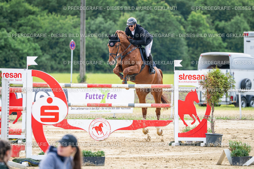 DSC07380 | Pferdegrafie