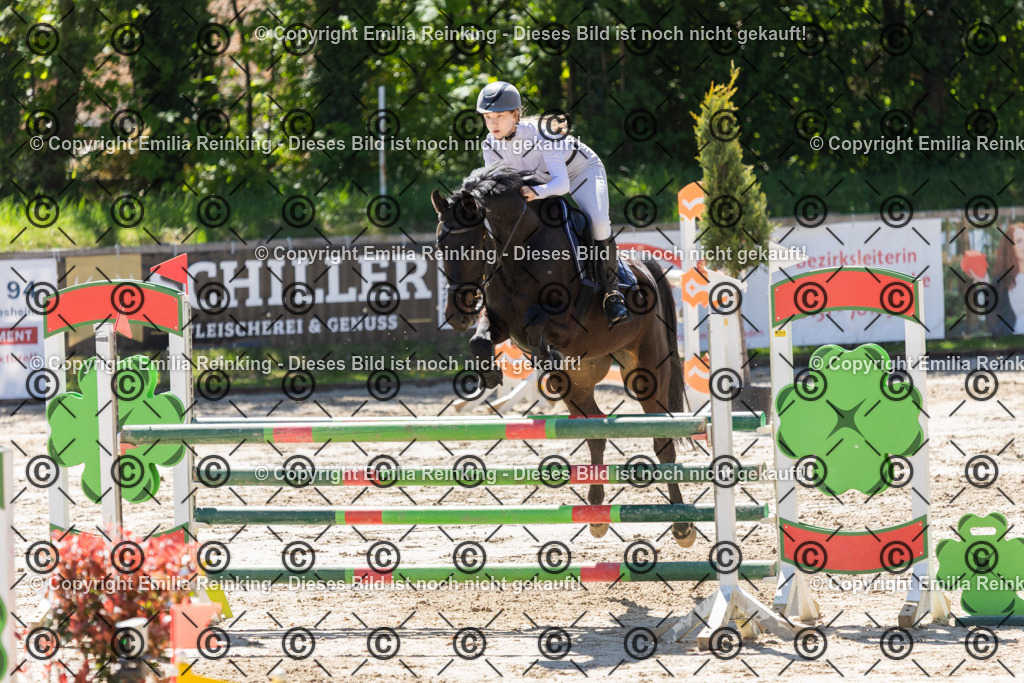 CL5A2550 | Emilia Reinking Fotografie - Realisiert mit Pictrs.com