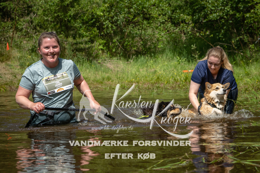 1216DKK992356 | kk-dogfotos