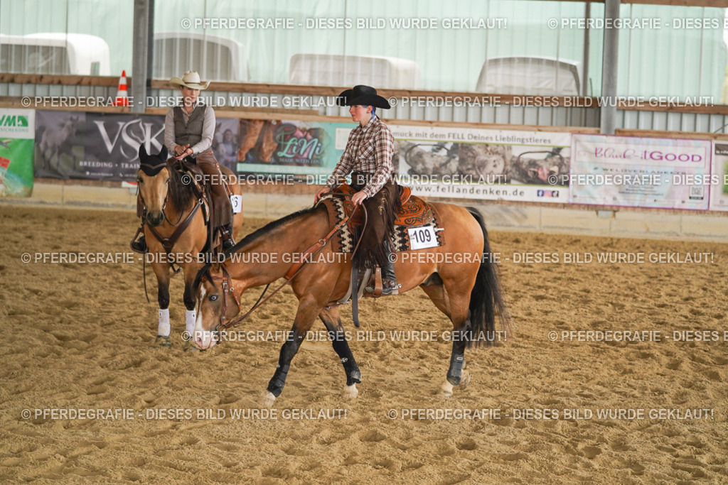 DSC09388 | Pferdegrafie