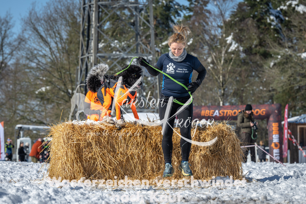 1126_ZZ92133-3 | kk-dogfotos