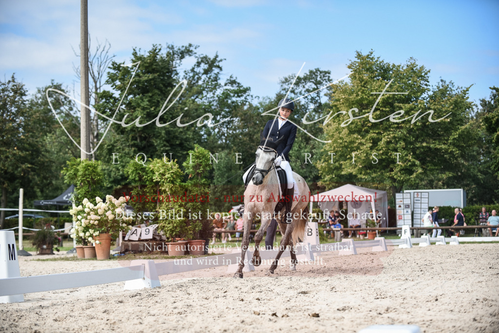 DSC_8699 | Pferde- und Turnierfotografie in Westsachsen. Pferdeportraits, Auftragszeichnungen und intuitive Kunst.