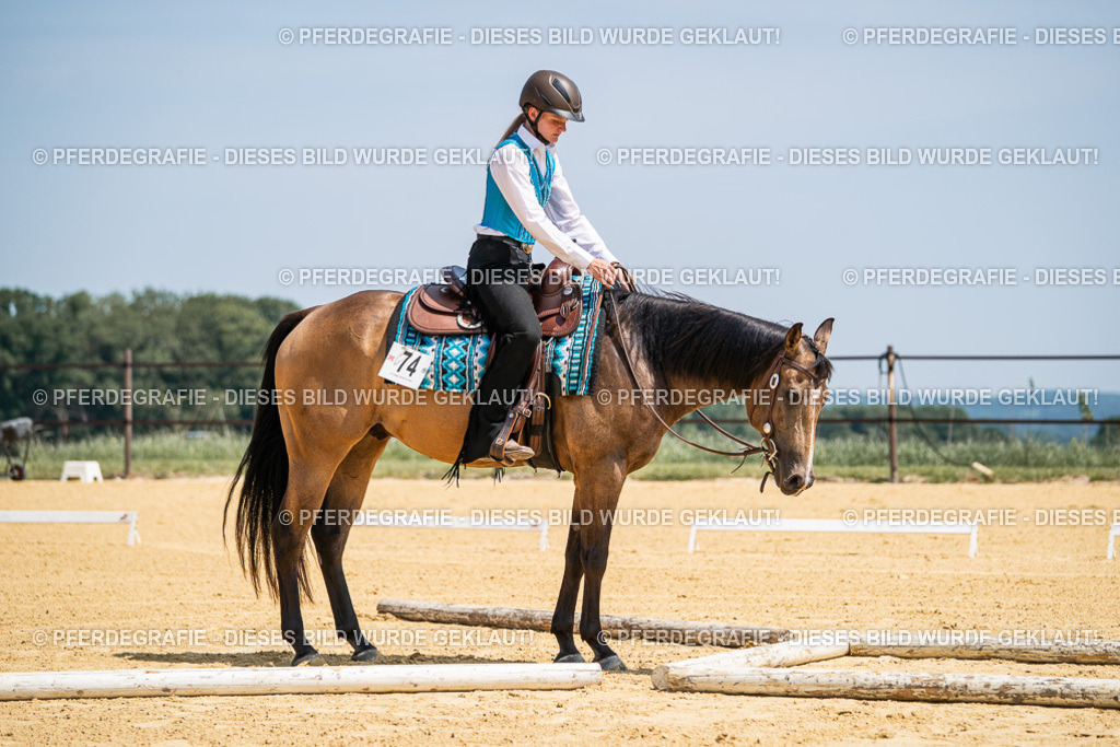 DSC01035 | Pferdegrafie