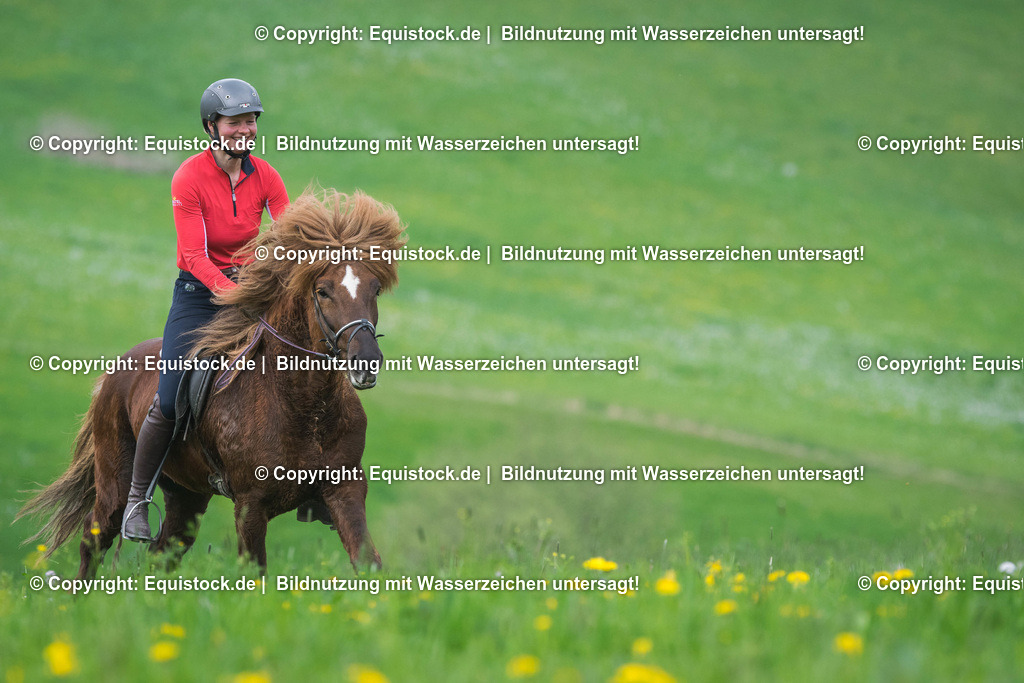 TS_20170415_Isl__nder_Ausritt_0008 | Foto: Thomas Hartig