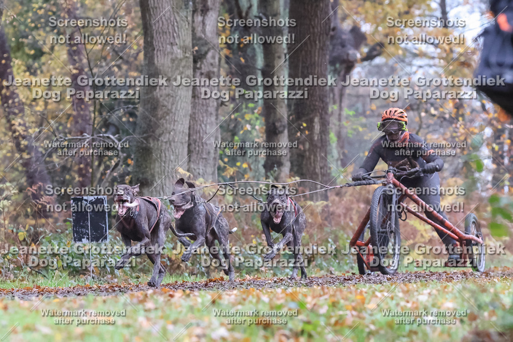 Dog Paparazzi - Ströhen 25-19 | Dog Paparazzi Jeanette Grottendiek Fotografie & Videografie - Realisiert mit Pictrs.com