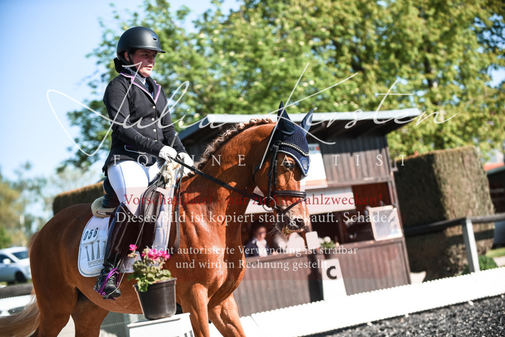 DSC_8449 | Pferde- und Turnierfotografie in Westsachsen. Pferdeportraits, Auftragszeichnungen und intuitive Kunst.