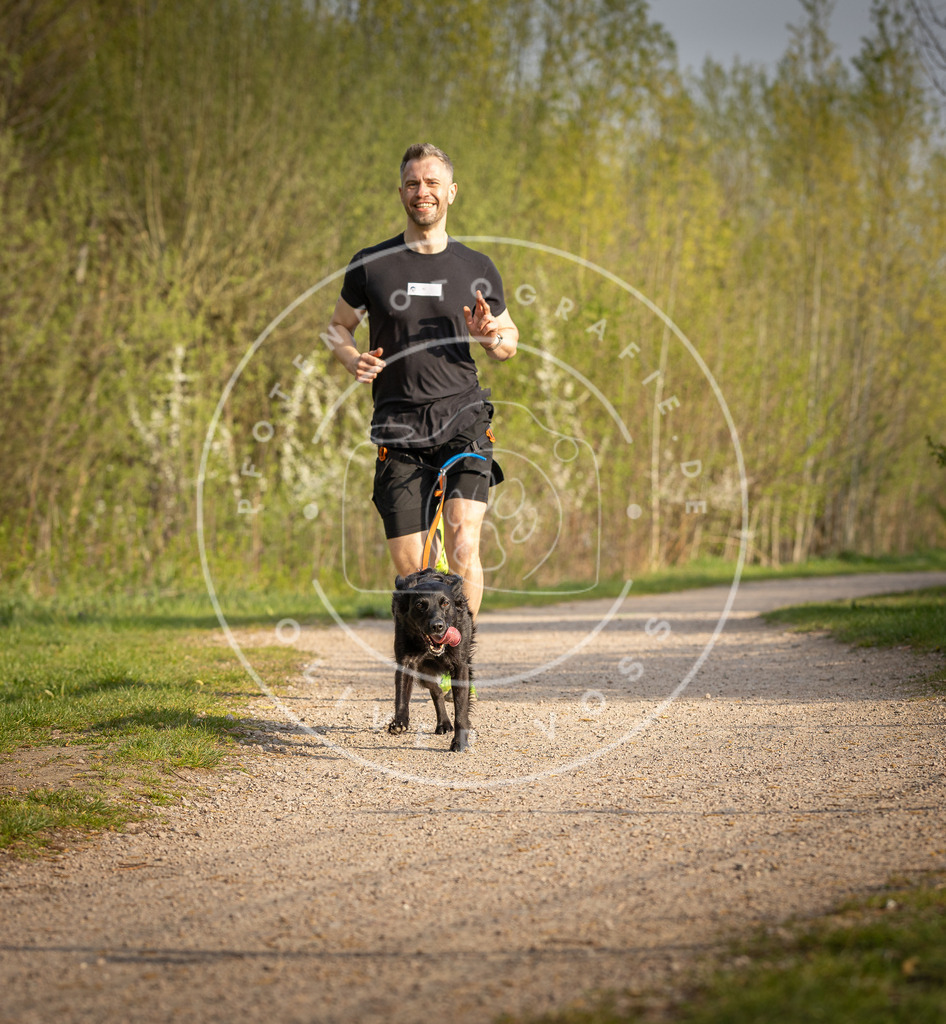 Pfotenfotografie_DV3A4521 | Hundefotografie, Tierfotograf, Pfotenfotografie, Fotoshooting Hund, Hunde Portrait, Hundesport, Hundeportraits, Heideshooting, Hunde, Sportfotograf, Hundefotograf, Turnierhundsport, THS,  - Realisiert mit Pictrs.com