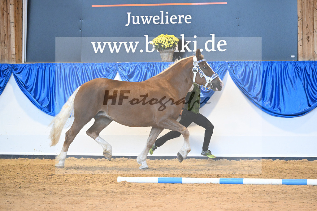 Kat-Nr. 66 Florida G_Grandauer_53220243 | hf-fotografie - Realisiert mit Pictrs.com
