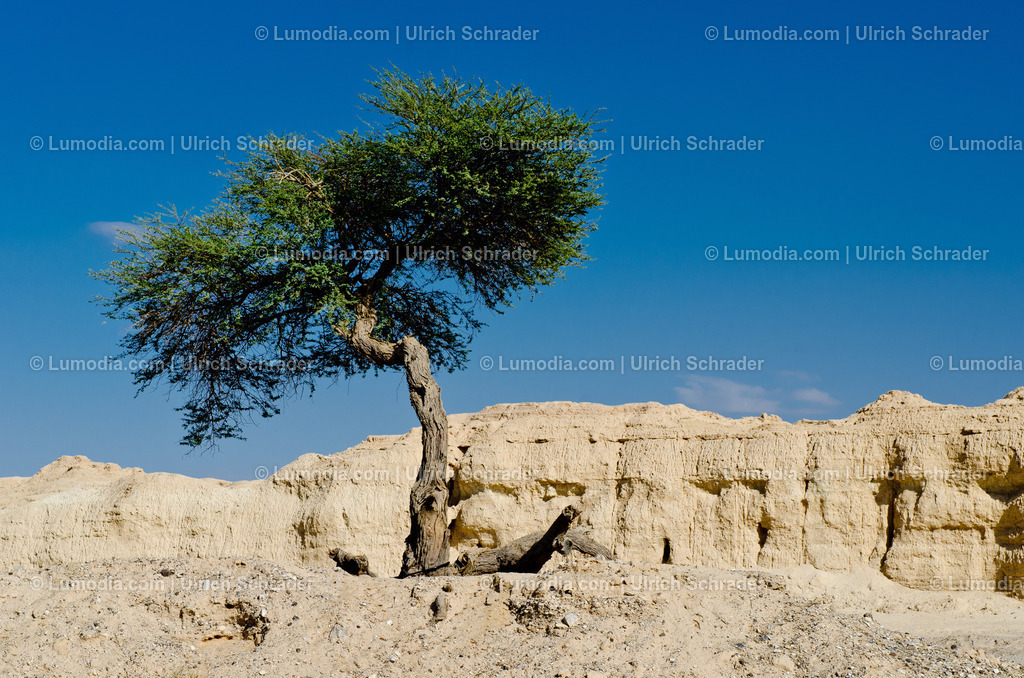10972-10355 - Negev-Wüste _ Israel | max. Bildgröße A3 | 300dpi - Realisiert mit Pictrs.com