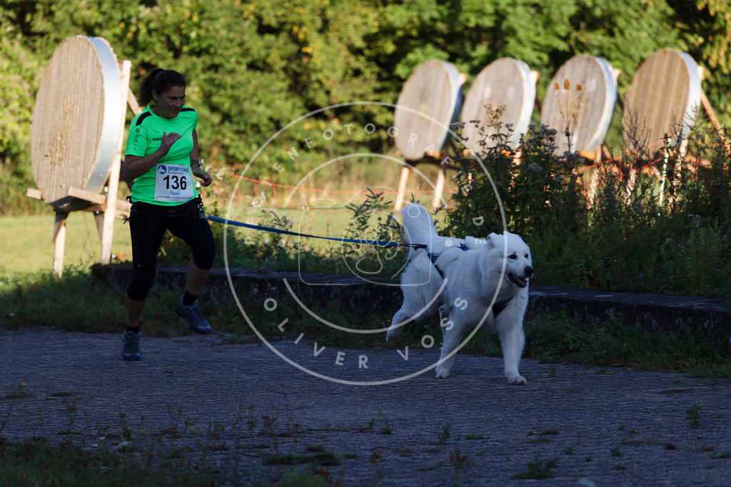 0L8A4812 | Hundefotografie, Tierfotograf, Pfotenfotografie, Fotoshooting Hund, Hunde Portrait, Hundesport, Hundeportraits, Heideshooting, Hunde, Sportfotograf, Hundefotograf, Turnierhundsport, THS,  - Realisiert mit Pictrs.com