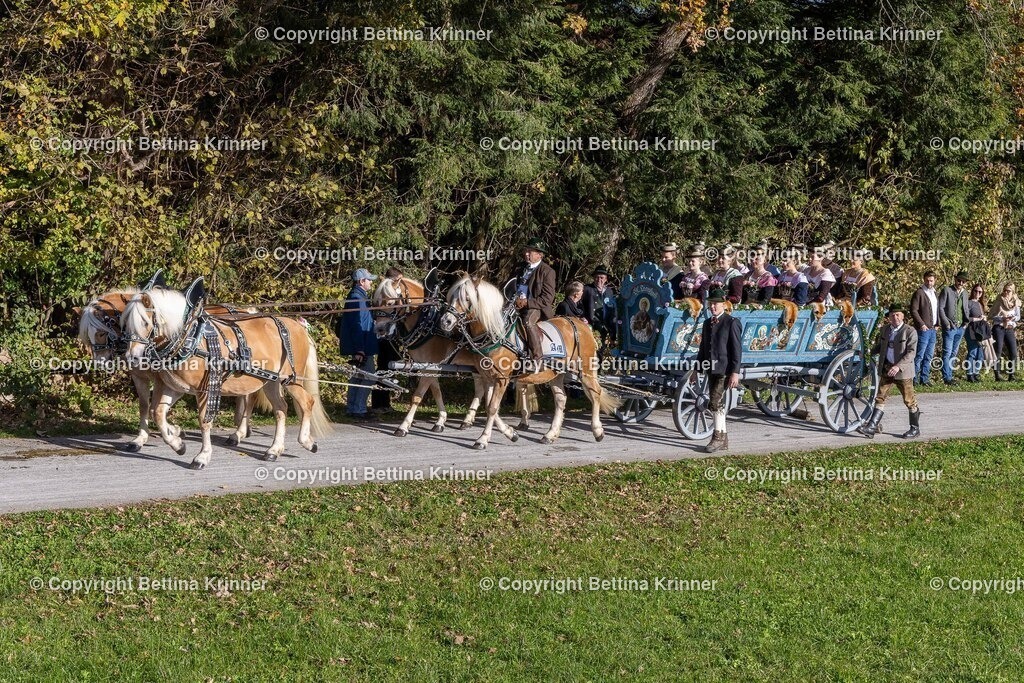 LBT24-839 | foto-bettina-krinner - Realisiert mit Pictrs.com