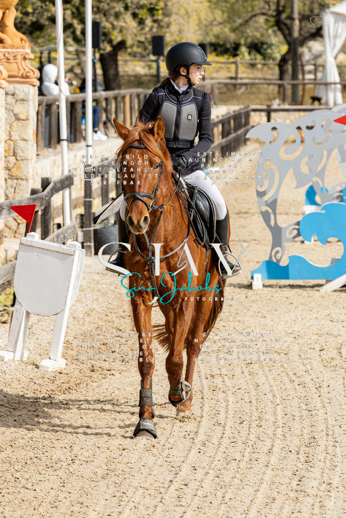 IMG_4316 | s-jay-photography - Realisiert mit Pictrs.com