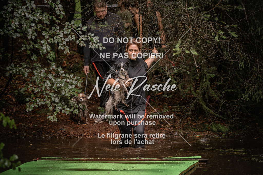 nelerasche_Wingst_Sa1330-1400_305 | nelerasche