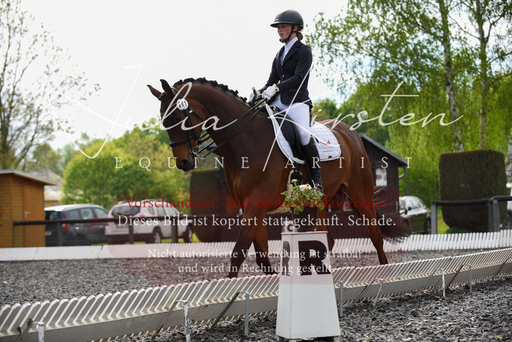 20230513_JK-Röhrsdorf-17-038 | Pferde- und Turnierfotografie in Westsachsen. Pferdeportraits, Auftragszeichnungen und intuitive Kunst.