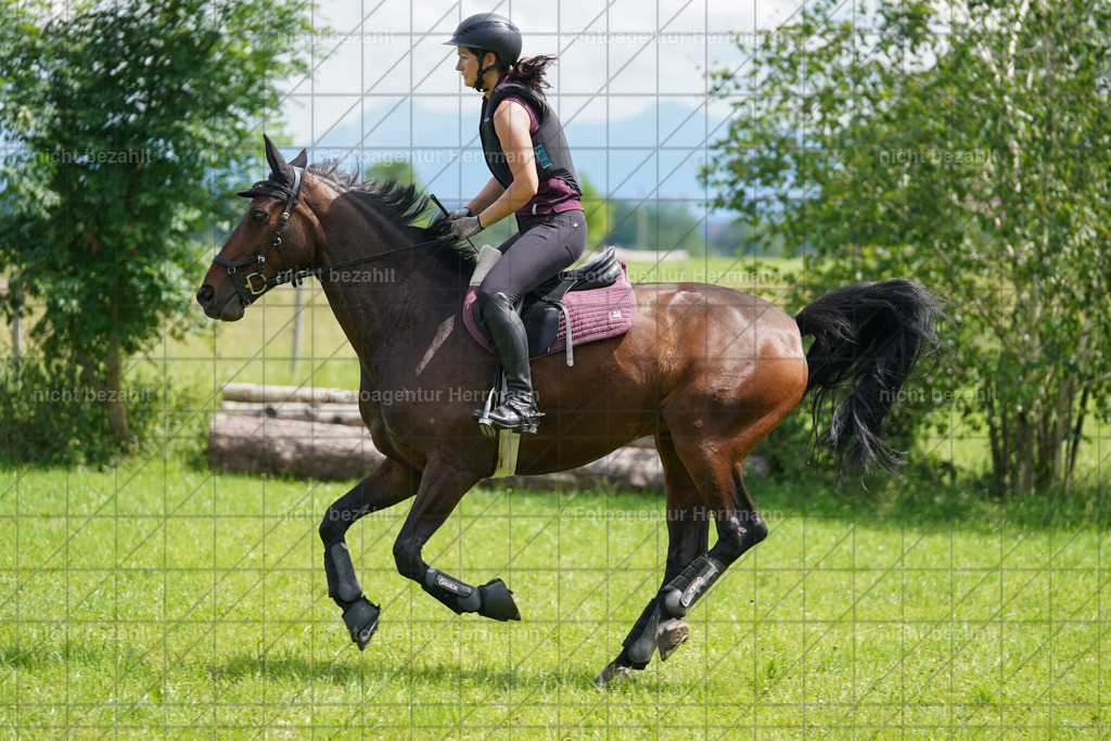 20240622-FAH07583 | Turnierfotografen Bayern, Reitsportbilder aus dem Geländekurs mit Felix Etzel auf dem Gut Waitzacker 2024