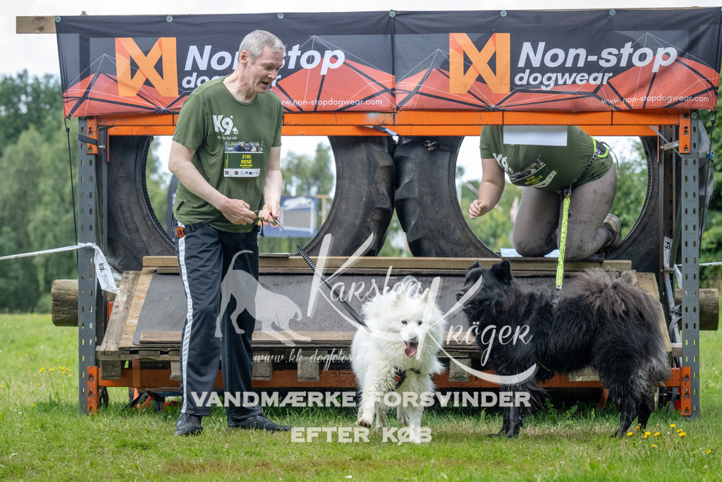 1535_ZZ93333 | kk-dogfotos