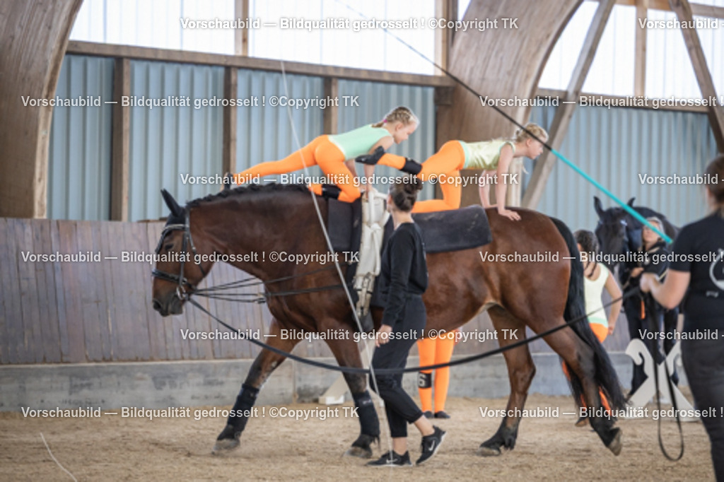 _D5A6958 | Emotionale Pferde- & People-Fotografie rund um Heidelberg, Leimen & Umgebung. Natürliche Fotos von Pferd, Mensch & Familie. Jetzt Termin sichern!