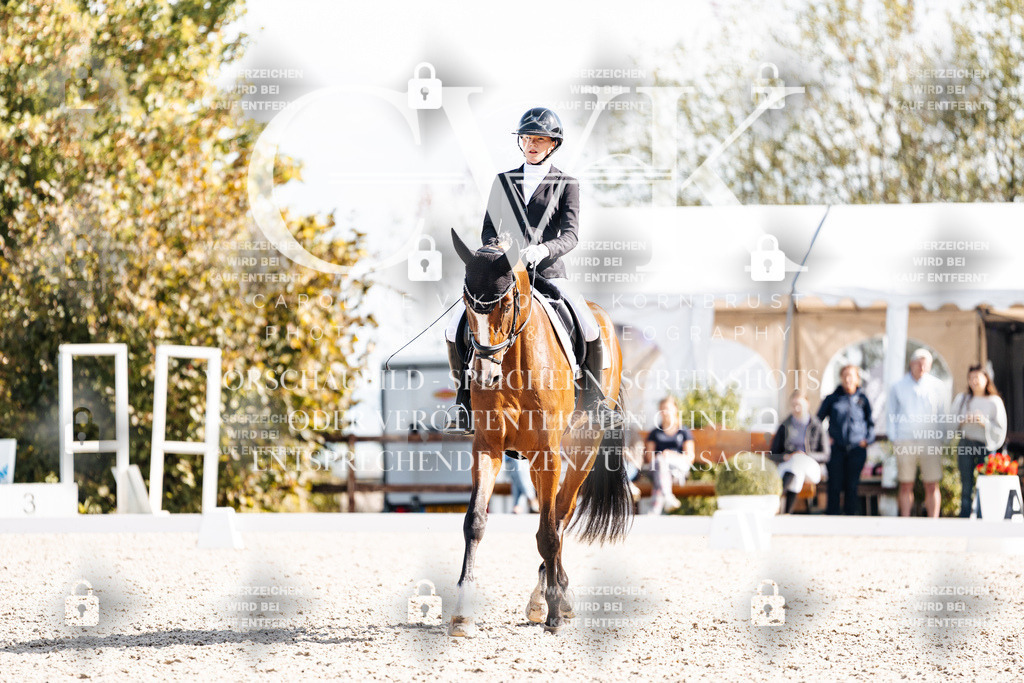 CK902332 | Turnierfotografie Pferdefotografie Trier Rheinland-Pfalz Pferdesport Reitsport Tierfotografie Sportfotografie Pferdevideo Pferdevideografie Equestrianvideography equestrianphotography  - Realisiert mit Pictrs.com
