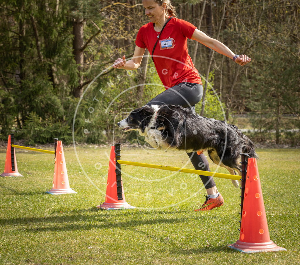 Pfotenfotografie_DV3A6612 | Hundefotografie, Tierfotograf, Pfotenfotografie, Fotoshooting Hund, Hunde Portrait, Hundesport, Hundeportraits, Heideshooting, Hunde, Sportfotograf, Hundefotograf, Turnierhundsport, THS,  - Realisiert mit Pictrs.com