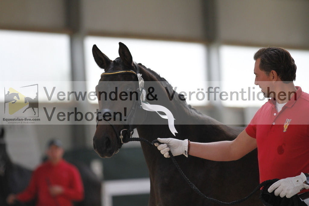 _MG_0051 | equestrian-live-com
